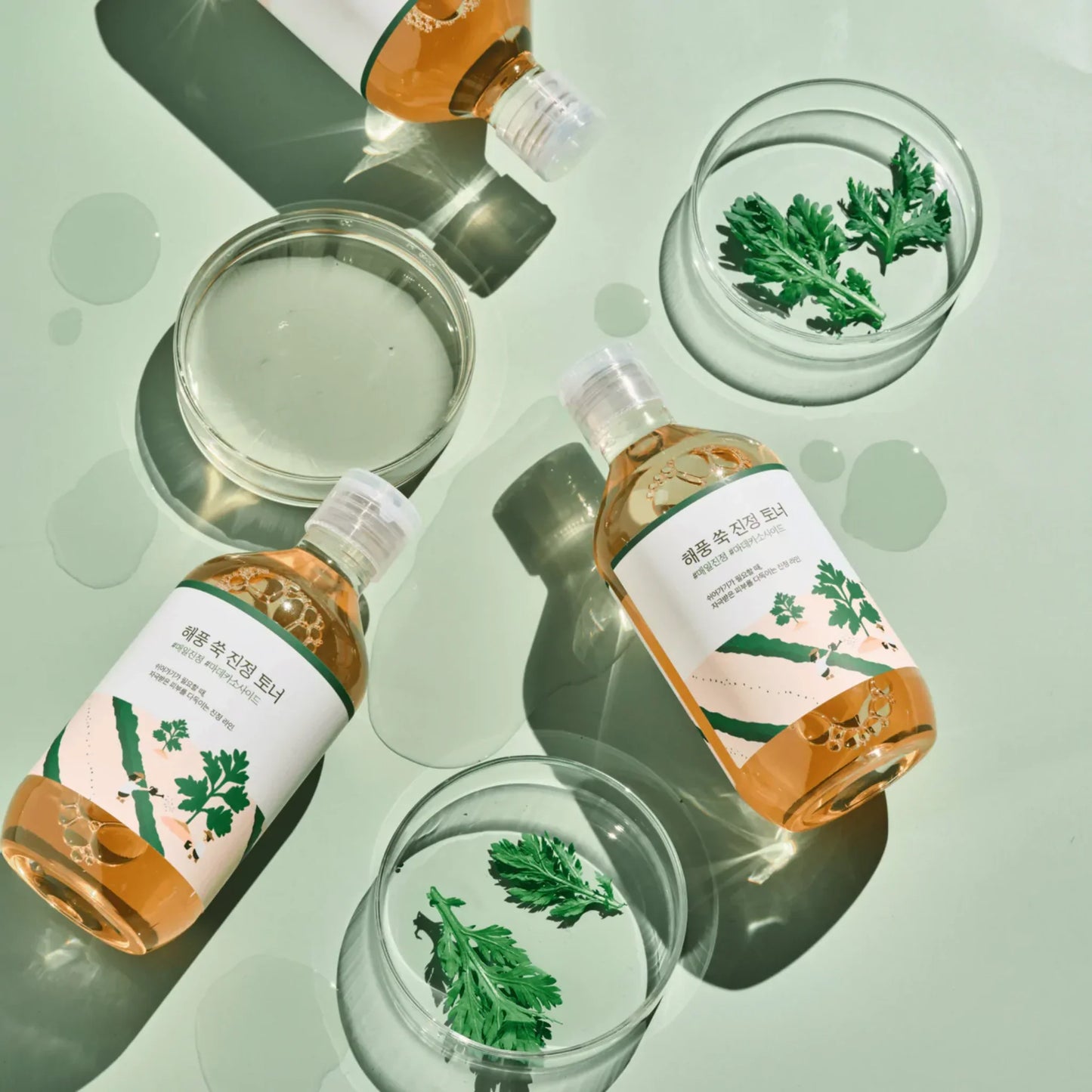 Mugwort Calming Toner 300ml Round LAB