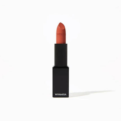 Lápiz labial 95 albaricoque 4g