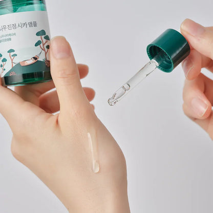 Pine Calming Cica Ampoule