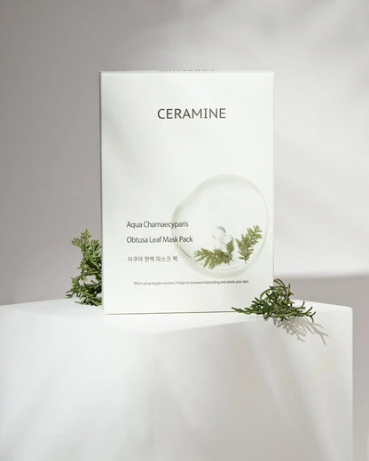 Regalo Aqua Chamaecyparis Obtusa Leaf Mask